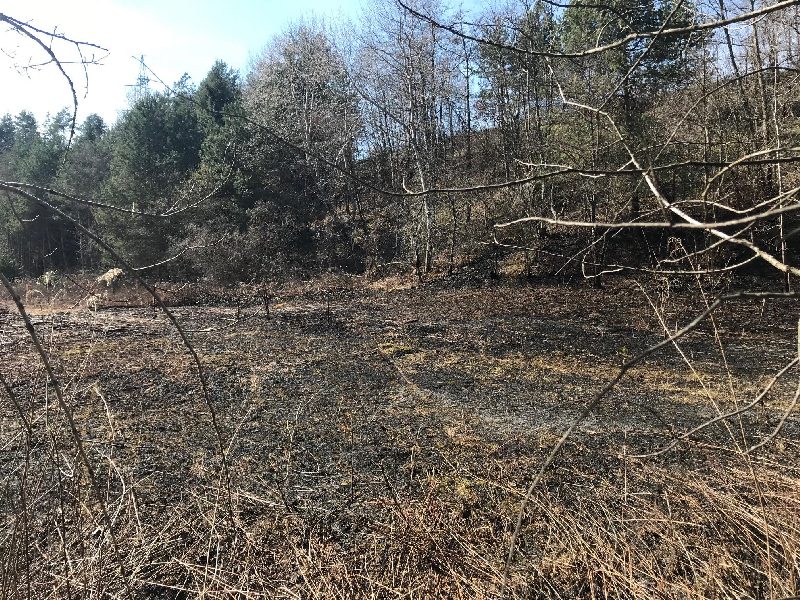 Wald-/Wiesen -brand (Bild 2)